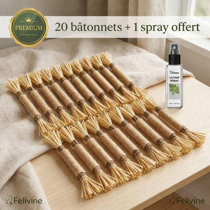 Felivine - Bâtonnets Dentaires