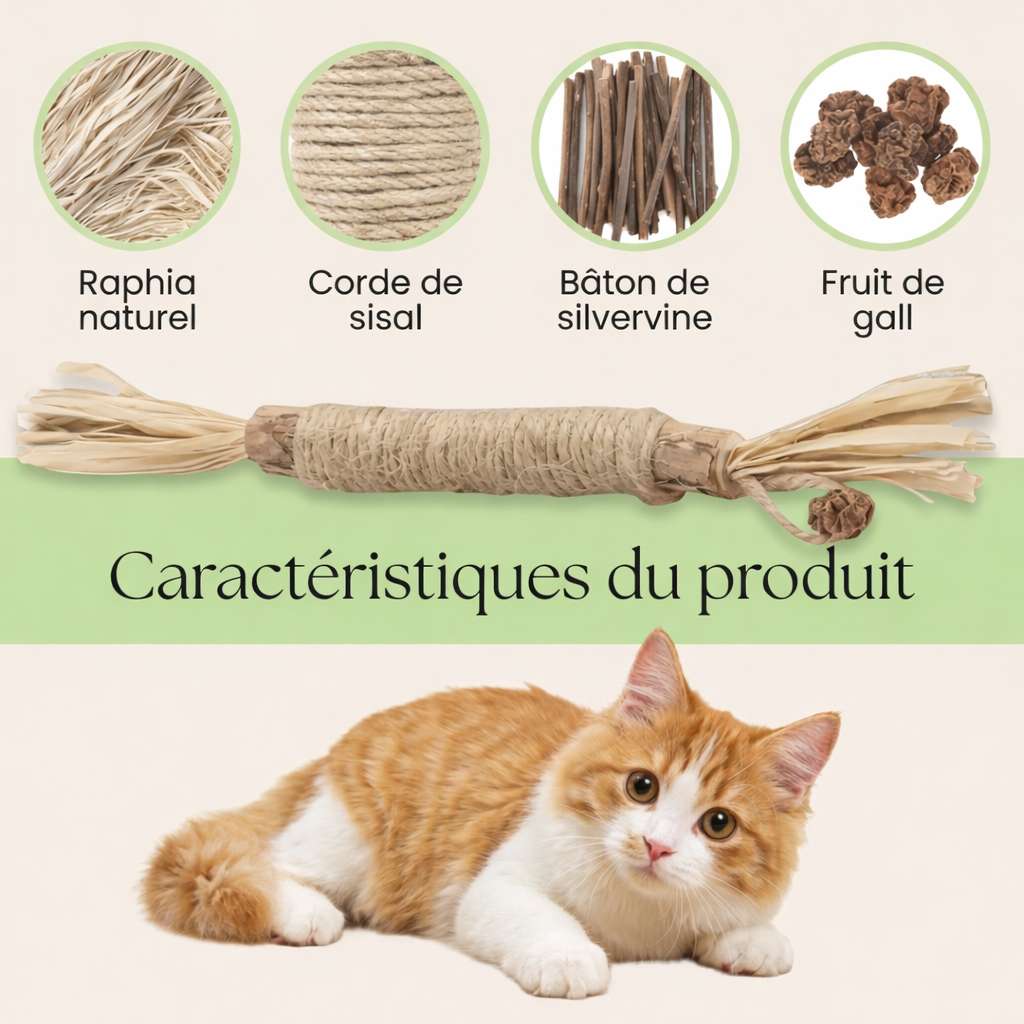 Felivine - Bâtonnets Dentaires