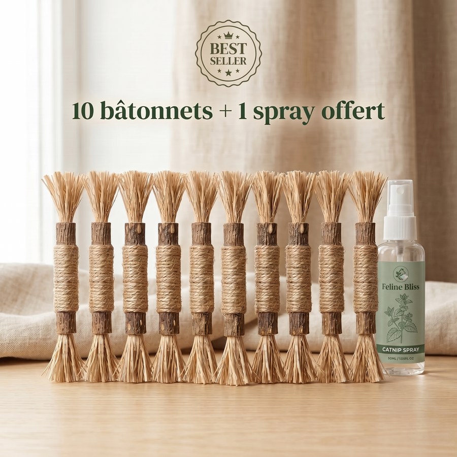 Pack Best Seller Felivine : 10 batonnets de matatabi et un spray Feline Bliss offert