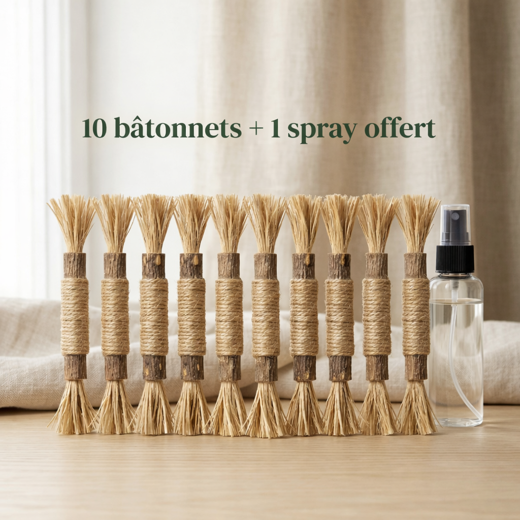 Felivine - Bâtonnets Dentaires